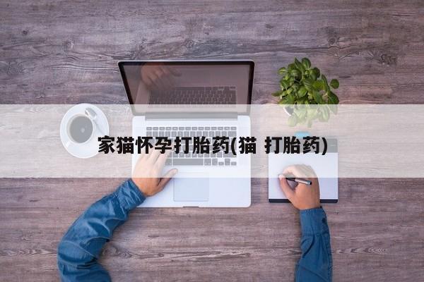 打胎药私人微信购买家猫怀孕打胎药(猫 打胎药)