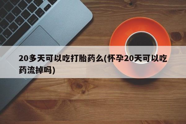 打胎药私人微信购买20多天可以吃打胎药么(怀孕20天可以吃药流掉吗)